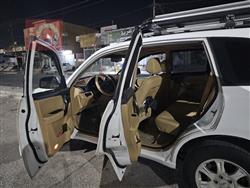 شێری T11 تیگۆ